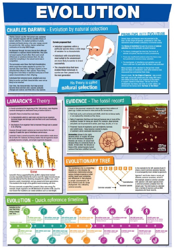 GCSE Science Evolution - A2 Poster – Tiger Moon