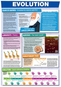 GCSE Science Evolution - A2 Poster