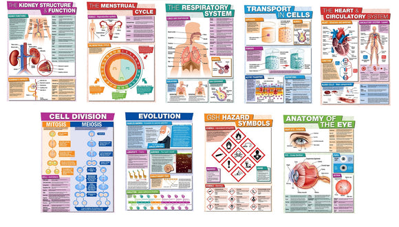 GCSE Science posters to support the study and revision of biology.  The A3 posters feature the following areas of study:      Kidney Structure and Function     The Menstrual Cycle     The Respiratory System     The Heart and Circulation     Anatomy of the Eye     Transport in Cells     Cell Division     Evolution     Symbols