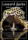 Exotic Pets Popular Reptiles - Set of 6 - A3