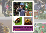 Minibeasts in the Garden Photo Pack Digital Download