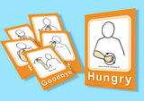 Makaton Basic Signs Flashcards A6