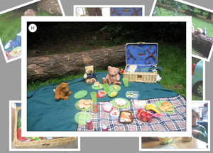 A Teddy Bears Picnic