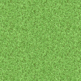 This Grass Mat is ideal for use with our Tiger Play Tray. It's perfect for individual or small group play.      Can be used with character toys and vehicles for imaginative play or for messy play.     This insert mat is designed to perfectly fit in the Tiger Play Tray     55cm x 55cm     Ideal for home use. Also great for small groups in classrooms.