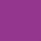Tiger Play Tray Mat - Purple