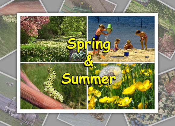 Spring And Summer