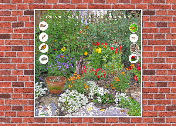 Minibeasts in the Garden Board