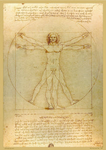 The Vitruvian Man by Leonardo Da Vinci - A2 Replica Print - Paper Laminated