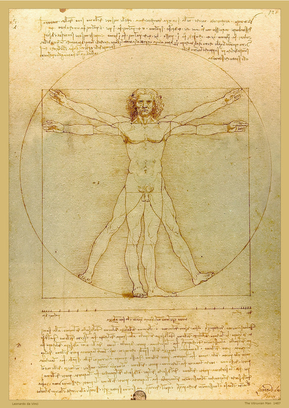 The Vitruvian Man by Leonardo Da Vinci - A2 Replica Print - Paper Laminated