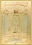 The Vitruvian Man by Leonardo Da Vinci - A2 Replica Print - Paper Laminated