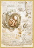 Leonardo Da Vinci Set of 8 Posters - A3