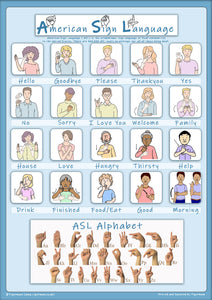 American Sign Language Poster- 20 Basic signs and Alphabet
