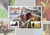 Autumn and Winter Photo Pack Digital Download