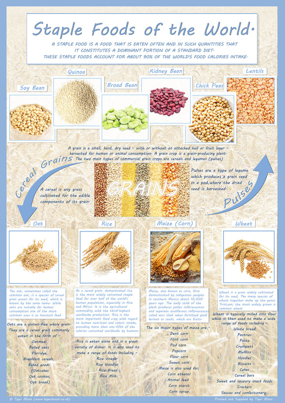 Staple foods of the world Poster