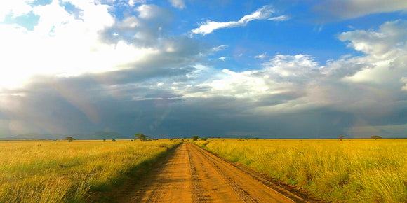 Countryside dirt road school play backdrop (240cm x 120cm)