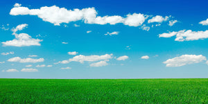 Grass and sky school play backdrop (240cm x 120cm)