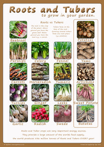 Roots and Tubers poster