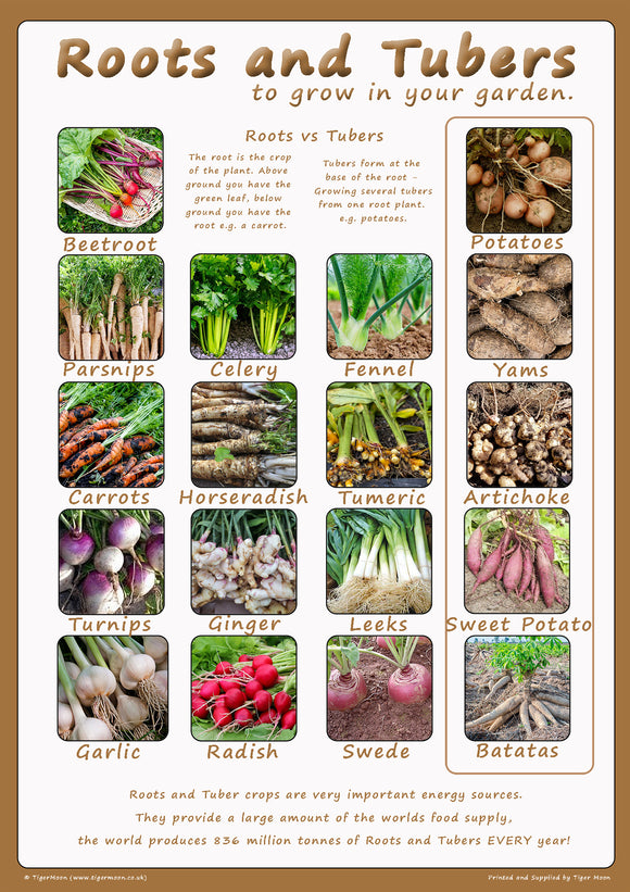 Roots and Tubers poster
