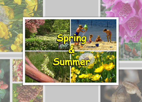 Spring and Summer Photo Pack Digital Download