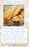 Staple foods of the world Poster
