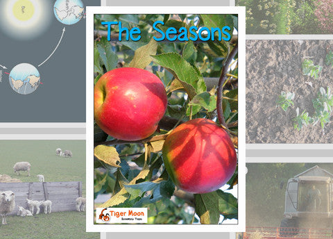 The Seasons Photo Pack Digital Download