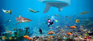 Underwater Scene Poster