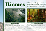 Biomes Poster