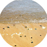 The Sea Shore Mat fits in the Tuff Tray for individual or small group play and is ideal for talking about beaches or deserts when you'd prefer not to clear sand and water up afterwards! A good starting off point for talking about the coastal environment and tides. Children can add water, toys, pebbles etc. to enhance their learning. Designed to fit in the Tuff Tray or the Tuff Spot.
